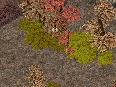 acces10.2.05.jpg