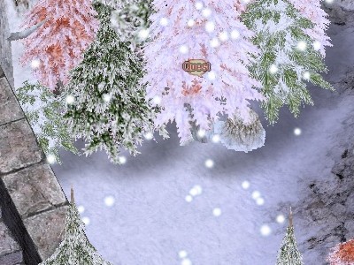 acces10.2.06.jpg