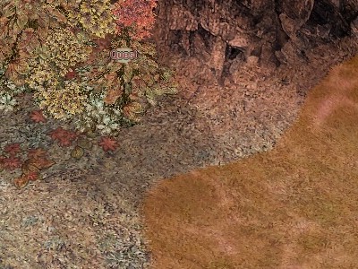 acces10.2.11.jpg