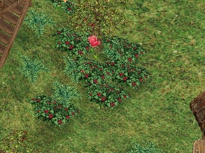 acces10.2.21.jpg