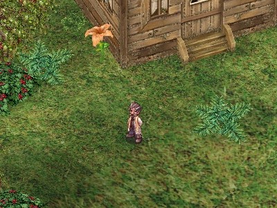 acces11.6.02.jpg