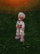 acces2.3.05.jpg