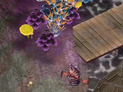 acces7.3.02.jpg