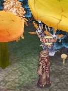 acces7.4.03.jpg