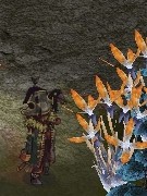 acces7.4.05.jpg