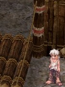 acces9.1.06.jpg