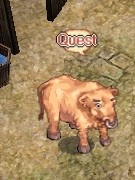 intro02.jpg